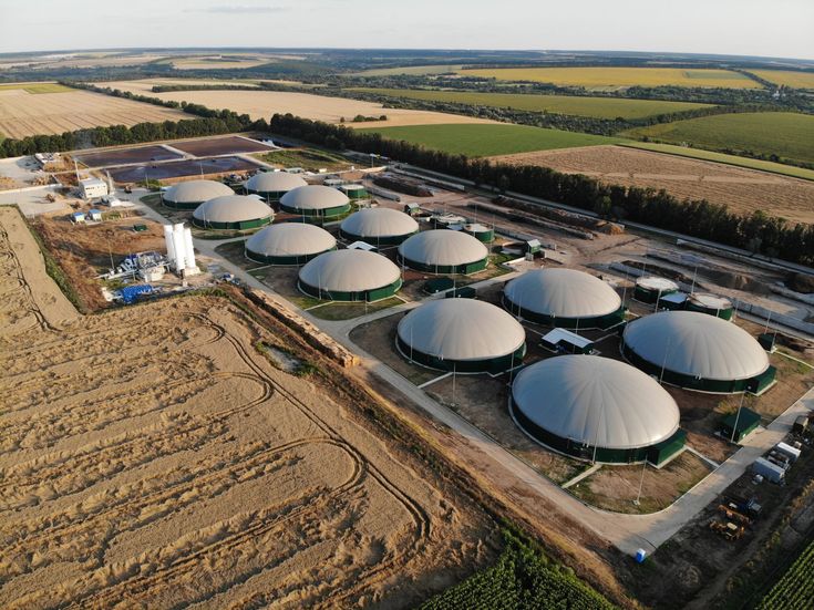 Bioenergy